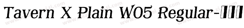 Tavern X Plain W05 Regular字体转换